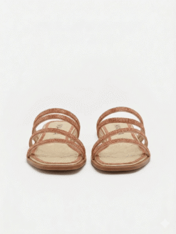 Alternative view of MAREA